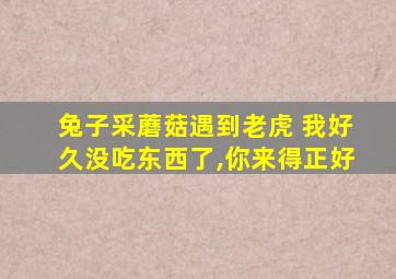 兔子采蘑菇遇到老虎 我好久没吃东西了,你来得正好